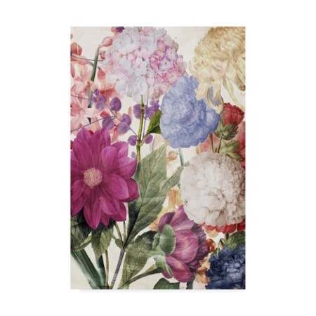 Trademark Fine Art Color Bakery 'Embry II' Canvas Art, 22x32 ALI20955-C2232GG
